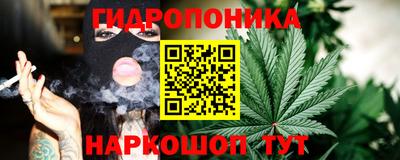 гидра Краснокаменск