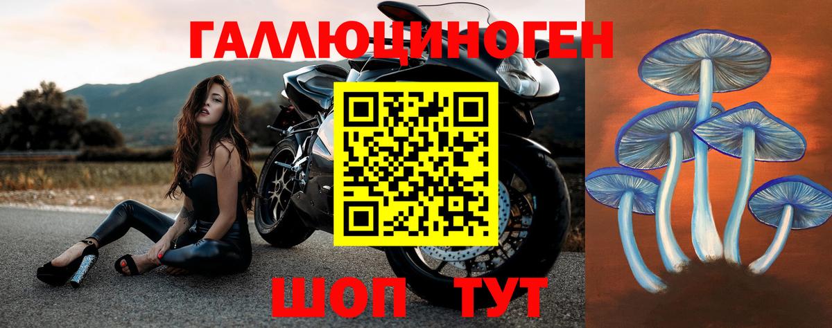 Галлюциногенные грибы MAGIC MUSHROOMS  Вход с VPN  Курганинск  Галлюциногенные грибы Magic Shrooms 